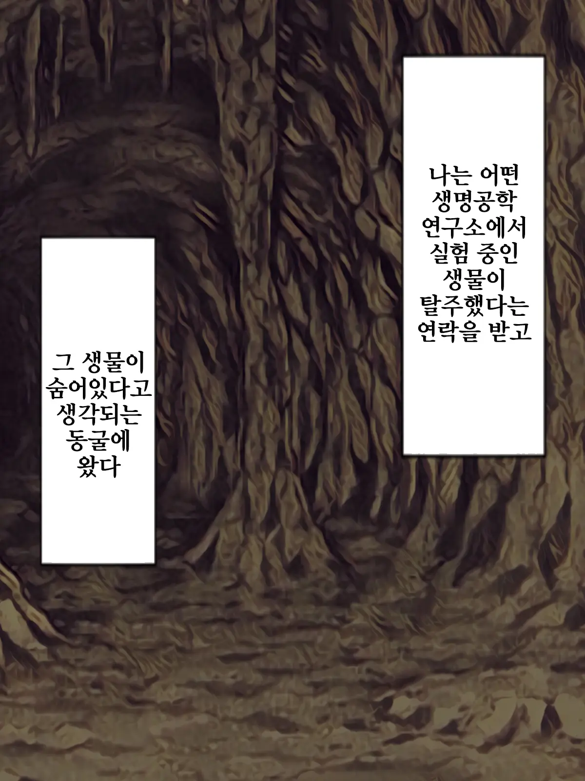 Kaikoga No Kaibutsu | 누에나방 괴물